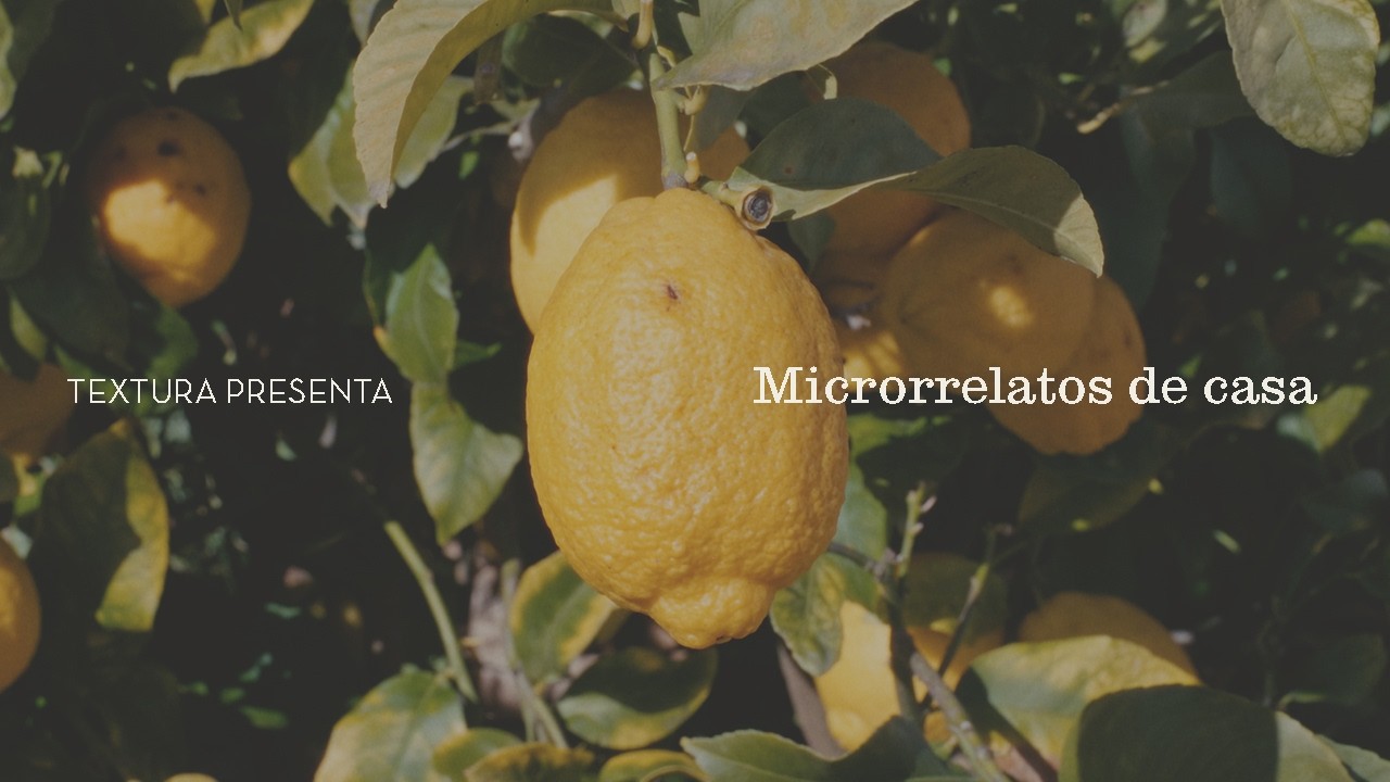 Microrrelatos de casa
