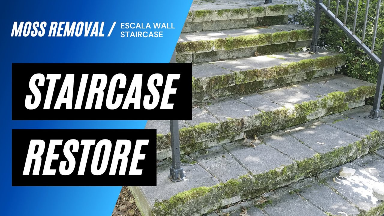 Moss Removal and Restoration of Techo-Bloc Escala Wall Staircase | SOFT WASHING METHOD