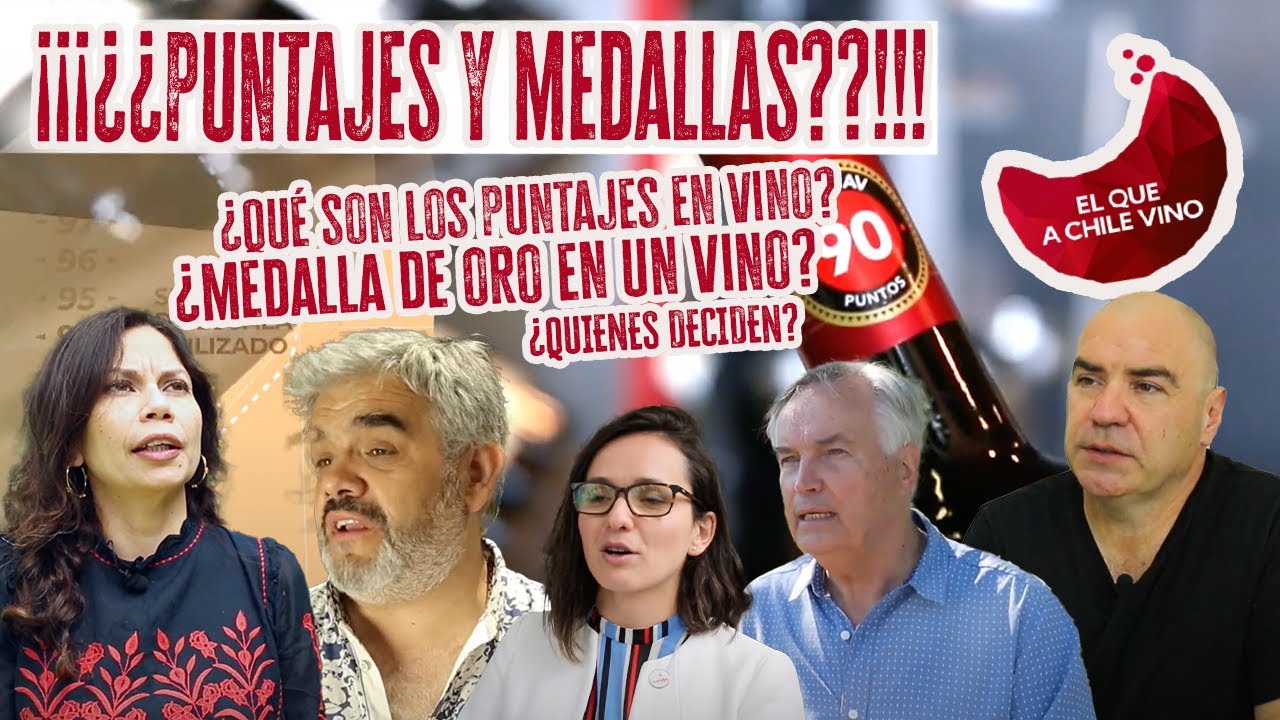 ¡¿Vinos con puntajes y medallas?! ¿qué son y para qué sirven?