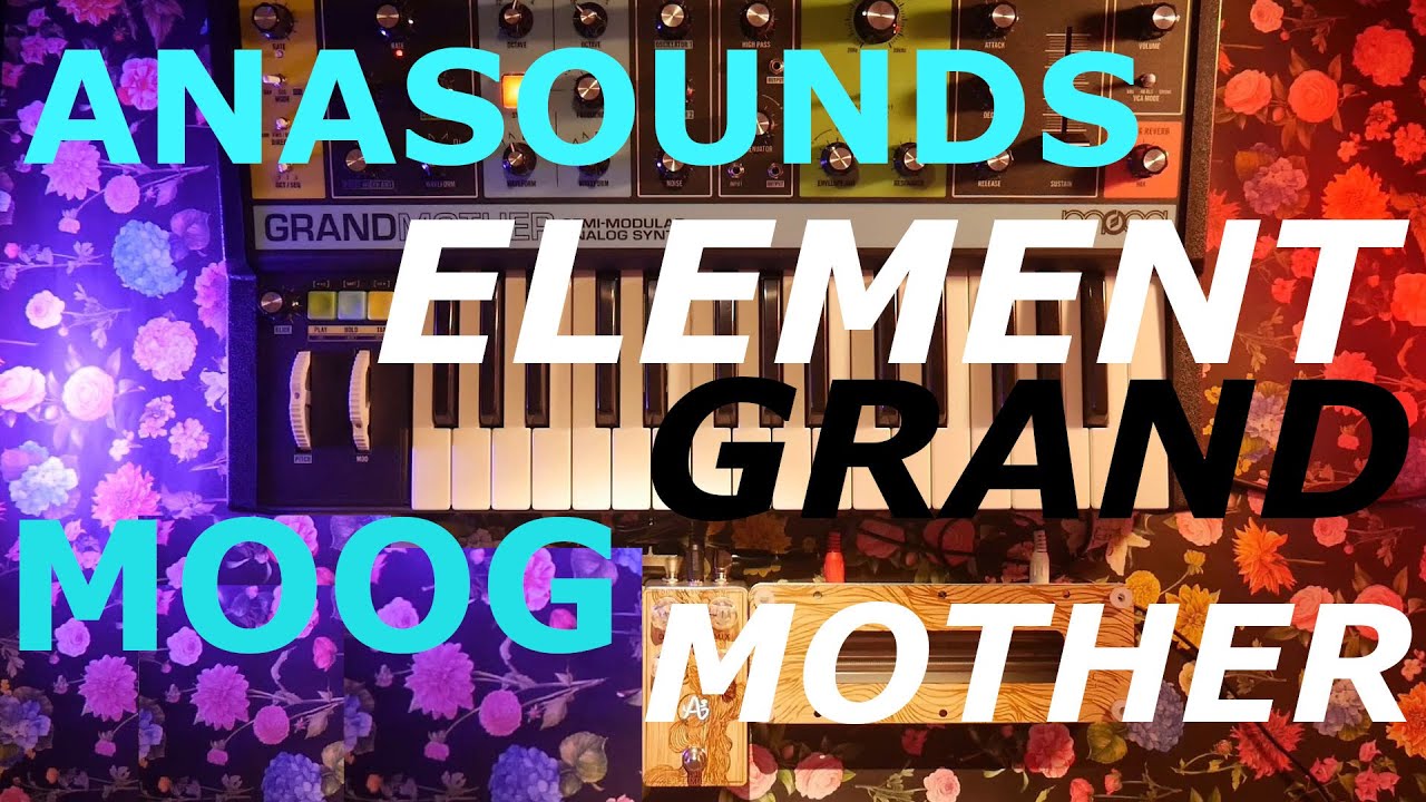 Pedals4Synths - 15 minutes with the Anasounds Element and Moog Grandmother