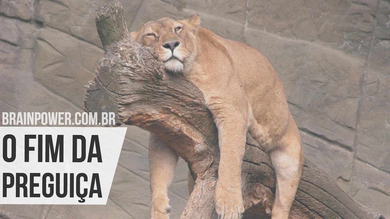 Os 3 Caminhos para Fugir da PREGUIÇA | Academia Cerebral