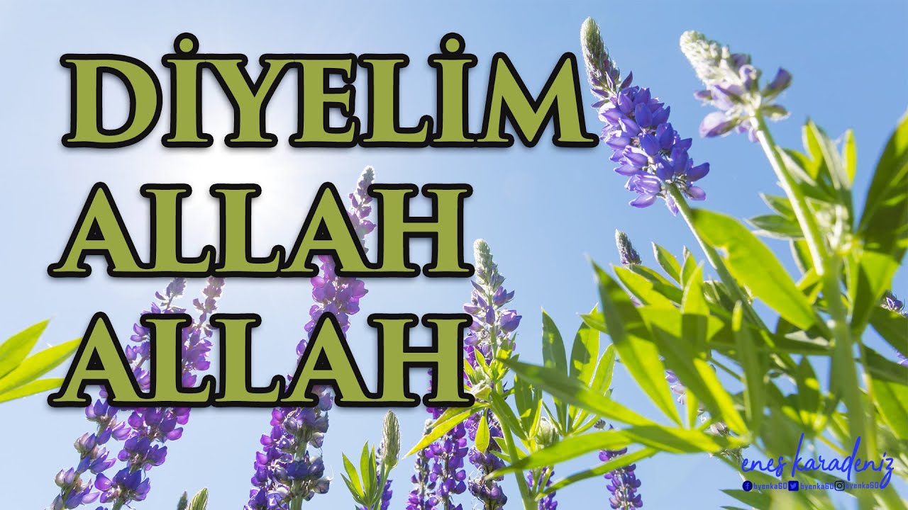 Diyelim Allah Allah, Allah Diyelim Allah (İlahi)
