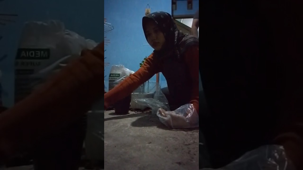 Menanam Pohon Bersama