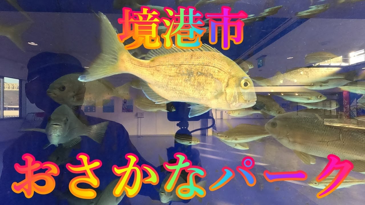冬の季節 1月7日 水曜 晴れのち曇り 新年の街歩き #境港市 おさかなパーク 日本 鳥取県境港市本町 水木しげる記念館 @WalkingYoshi