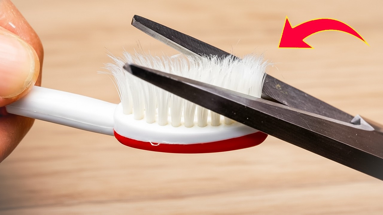 Cut Toothbrush Bristles! Every Home Needs This Genius Trick 🔥| Inventor Daily