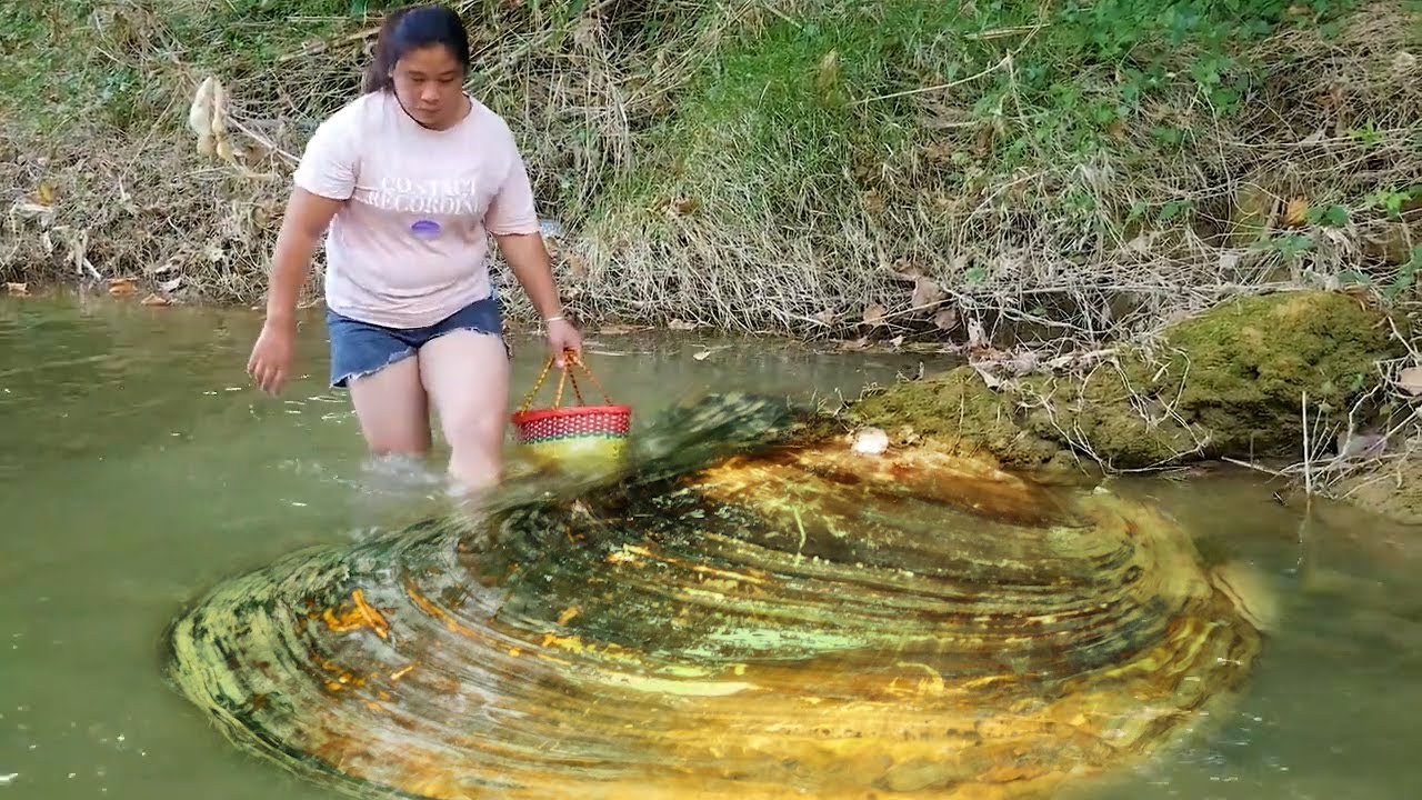 The moment of miracle begins with the beautiful giant clam