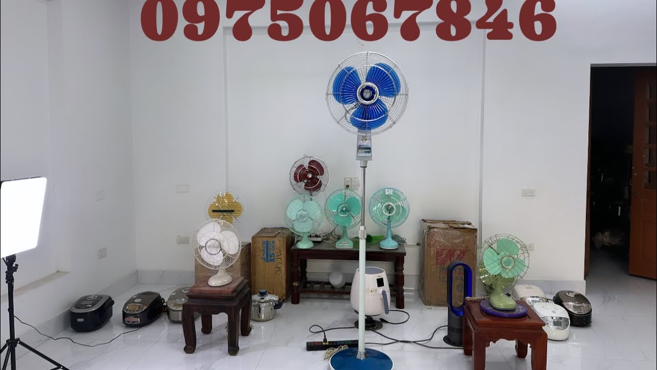 Quạt Nhật lh0975067846 Na chữ A cây cánh 40 cao 2m bầu sắt hàng độc hiếm giá sưu tầm 