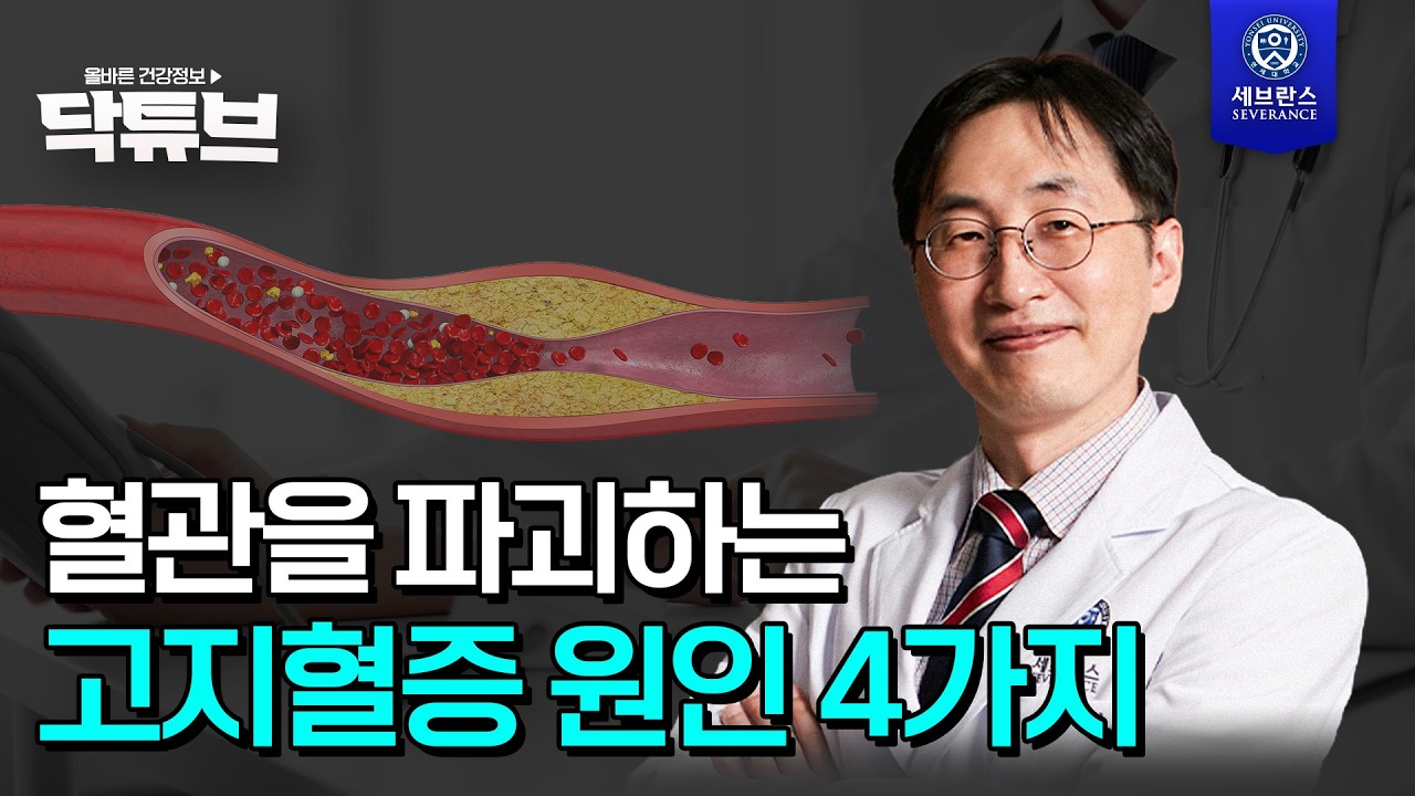 [닥튜브] 혈관을 파괴하는 고지혈증 원인 4가지