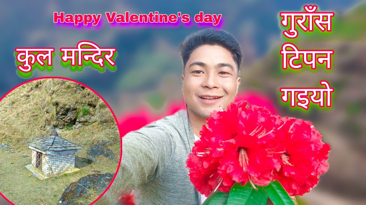 आज Valentine's को दिन गुराँस टिपन गइयो। Village Vlog||