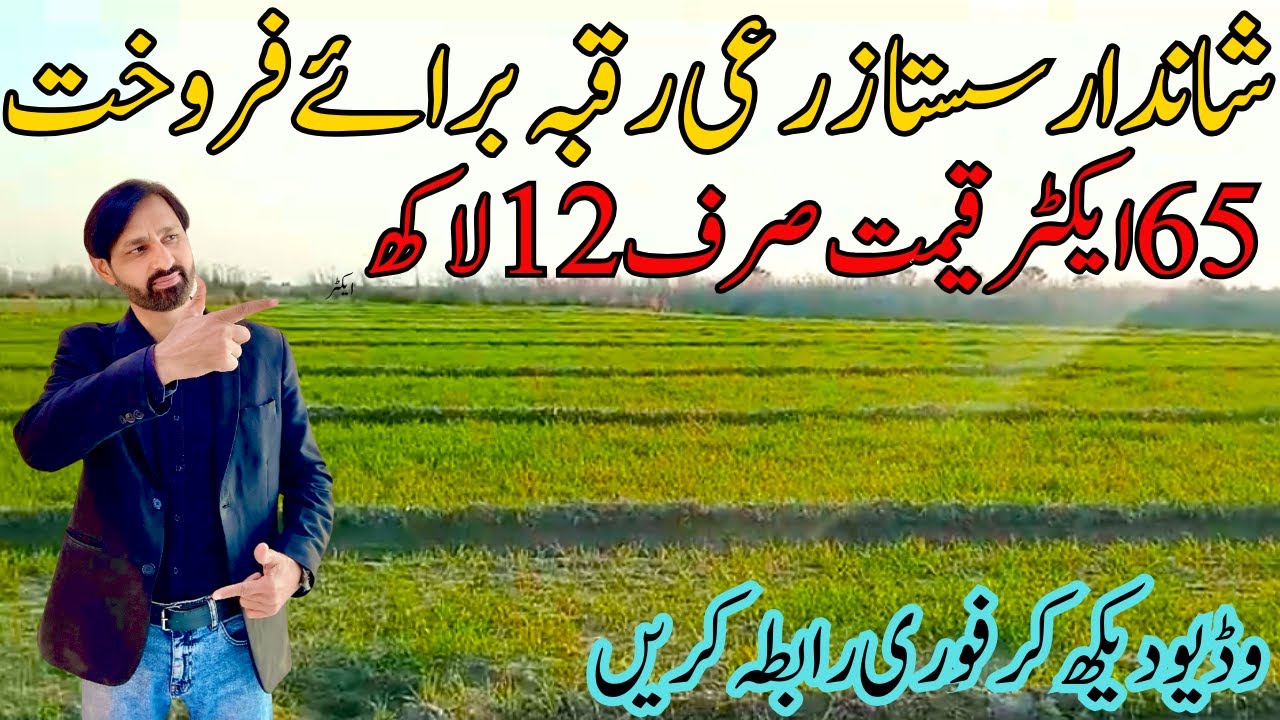 Agriculture Land for Sale in Punjab Pakistan | Raqba for Sale | Zameen for Sale