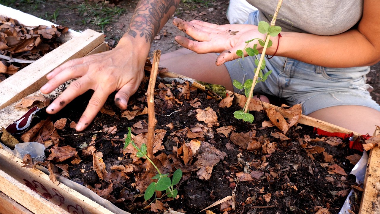 UN DÍA EN LA HUERTA 🌿 | PLANTÉ ZANAHORIAS Y LUCHO CONTRA LOS CARACOLES
