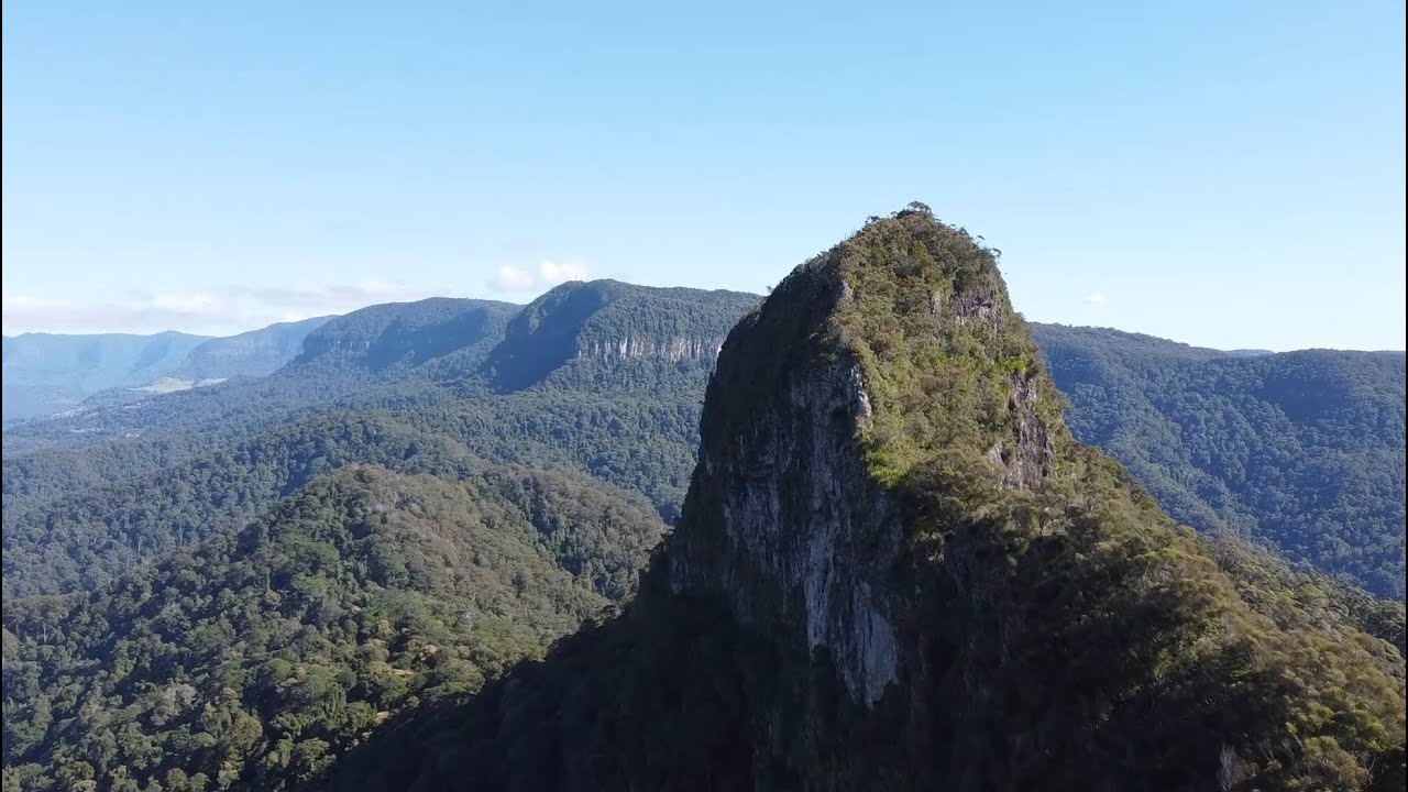 Mount Cougal Hike - Springbrook National Park QLD