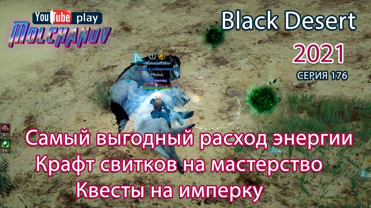 Мясо льва. Black Desert Фарм серебра 2022. Лучница. Энергия.