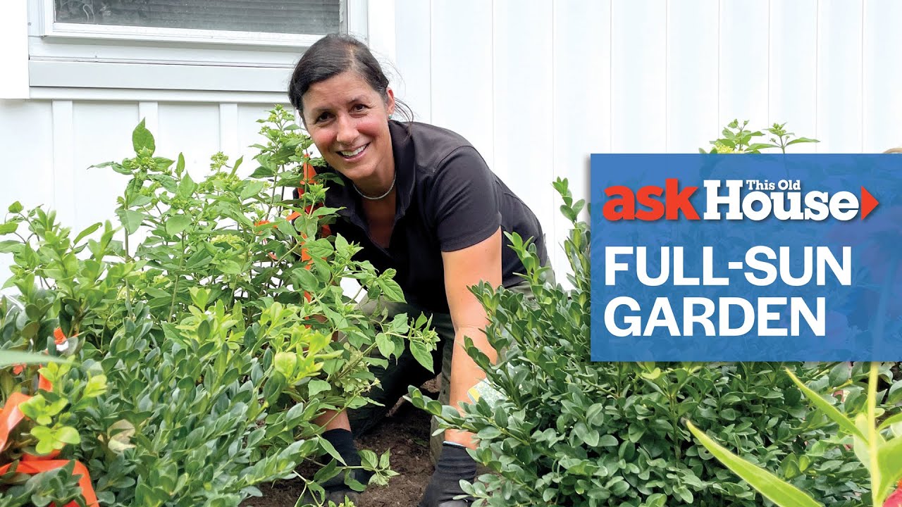 How to Create a Full-Sun Garden | Ask This Old House