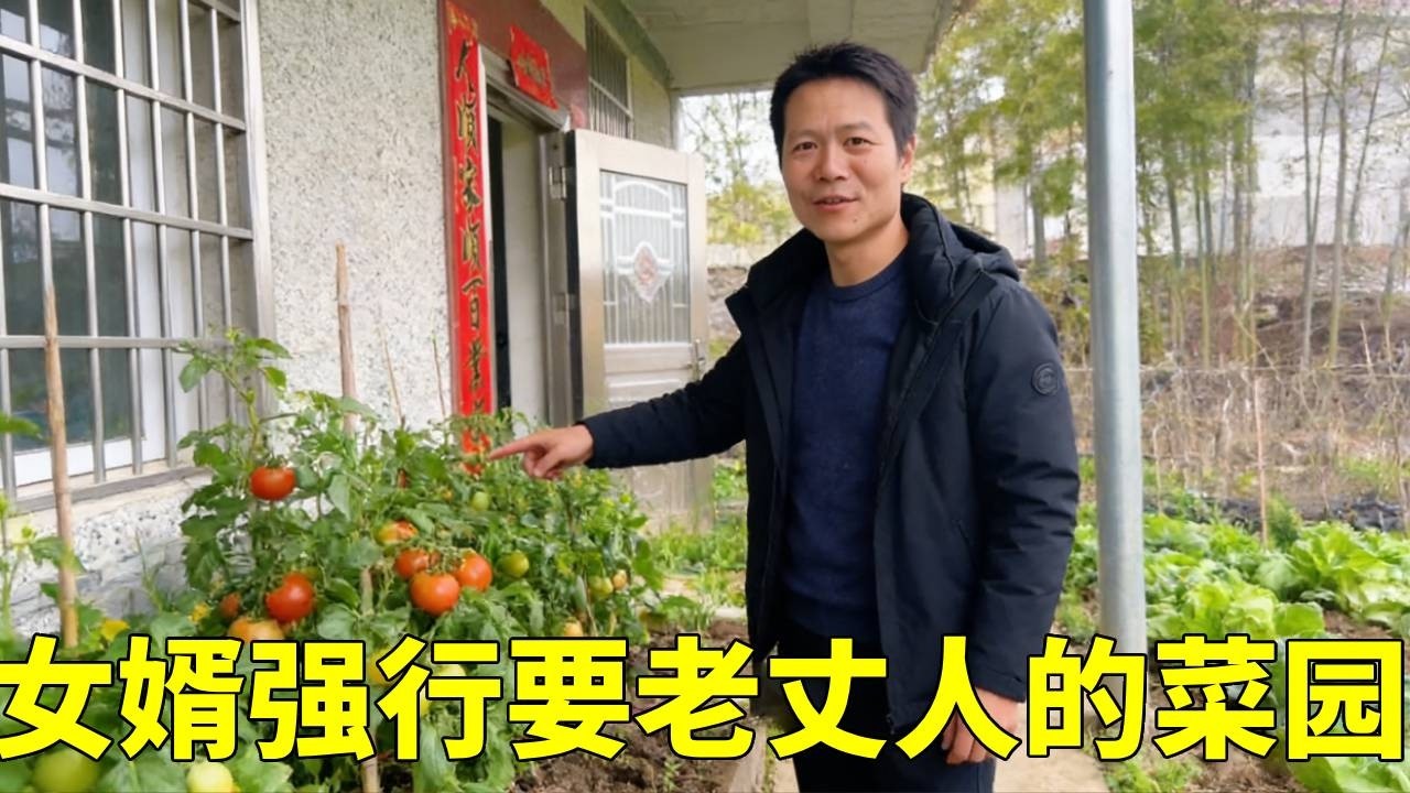 年一过又当牛马，媳妇拖家带口帮老丈人去清货，女婿直接开口要菜园！#我的乡村生活 #便宜好吃的零食