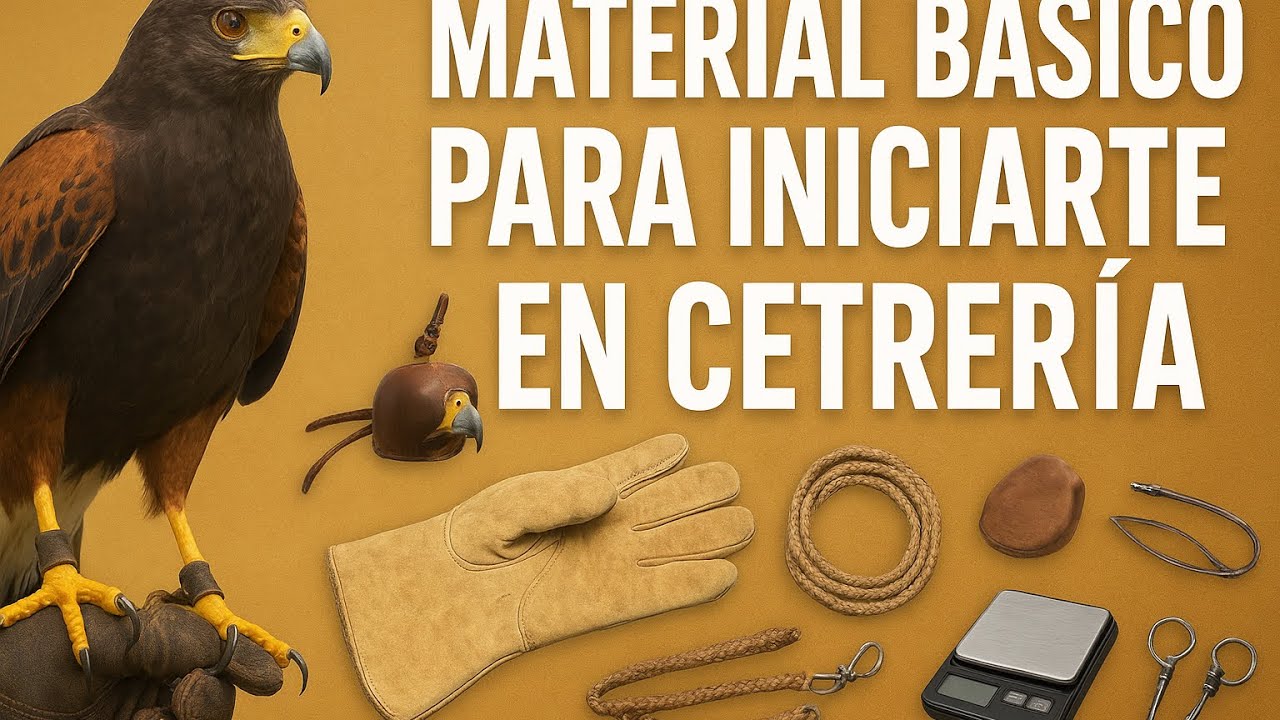 1er    MATERIALES BÁSICOS PARA CETRERIA. 🦅🇪🇸