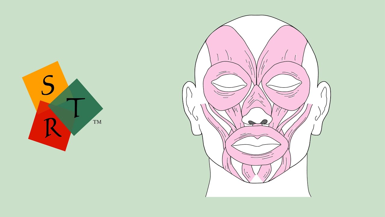 STR on Light Articulatory Contact