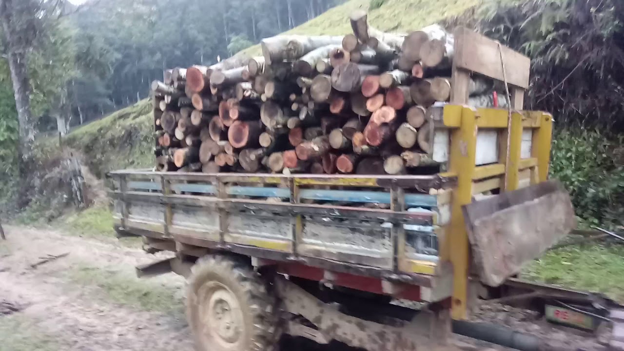 Gibata carregada de lenha