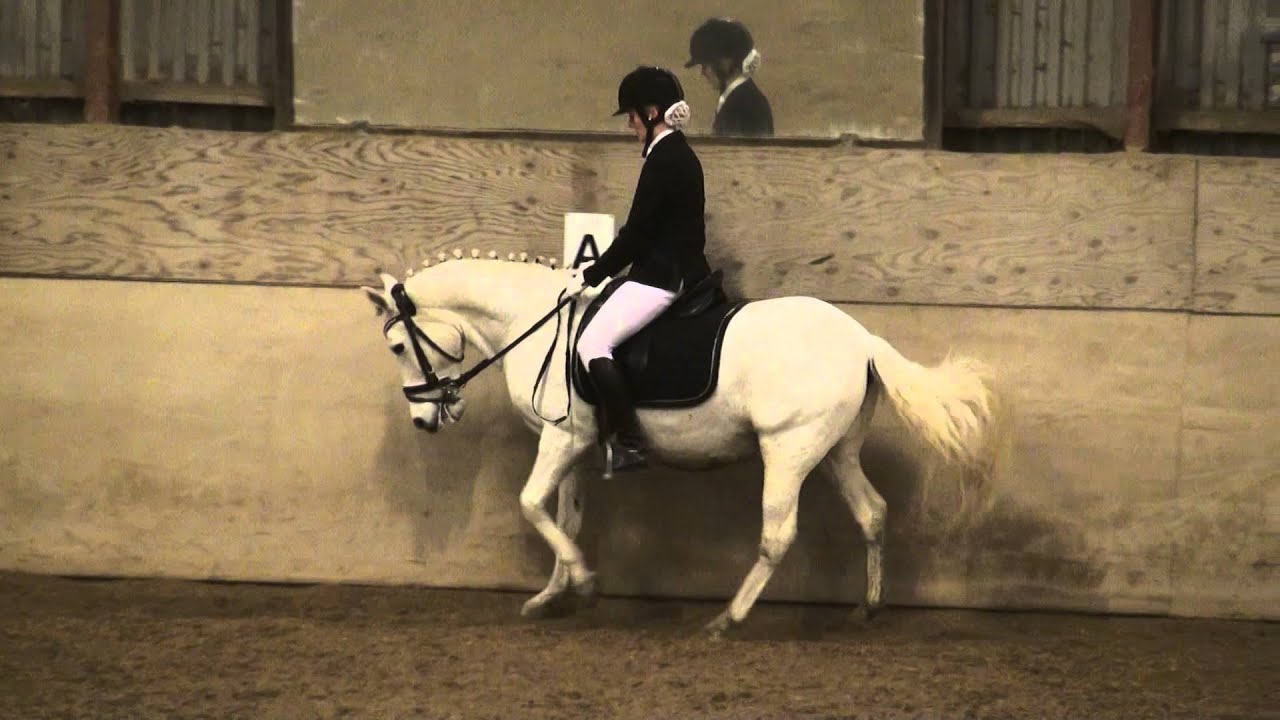 anja vestervang 20141116152736