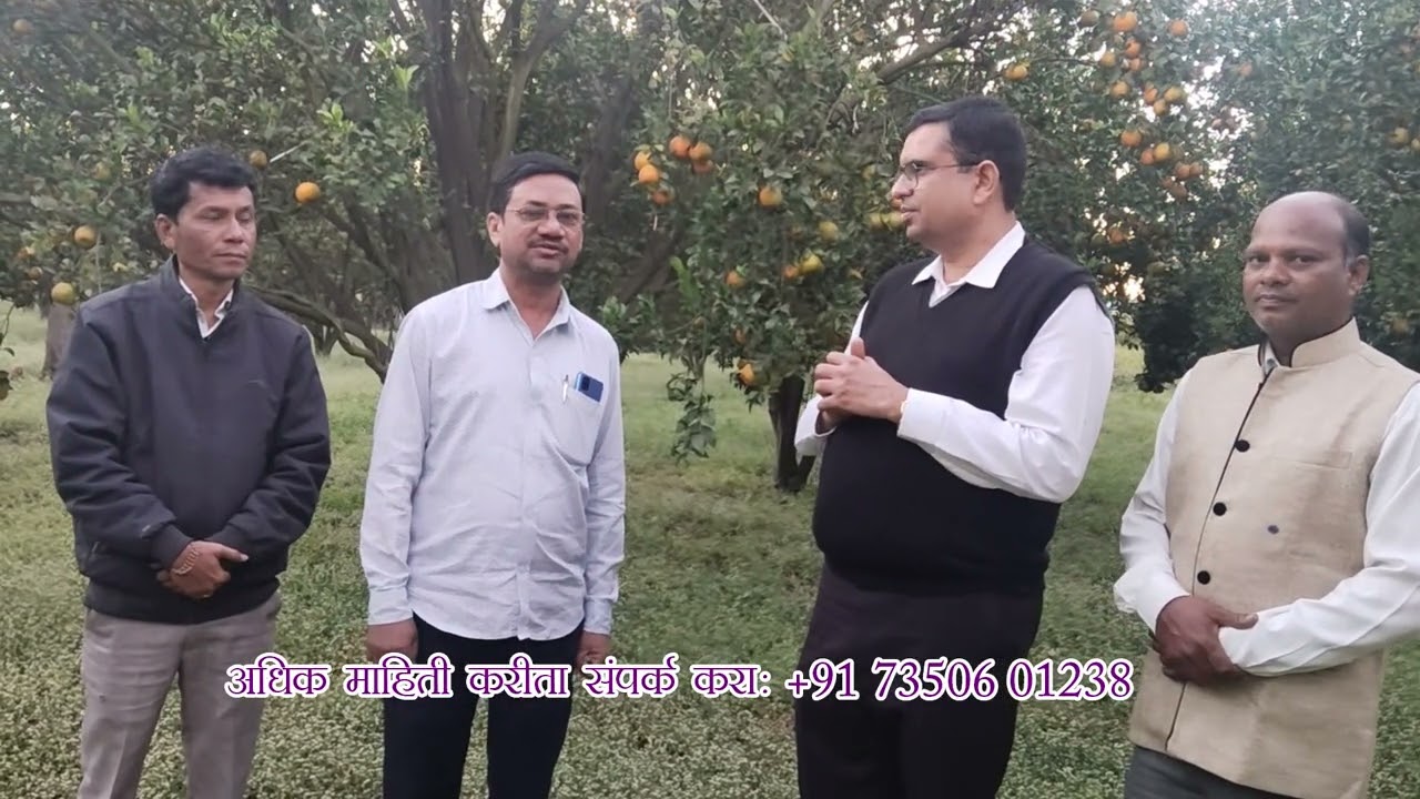 Nagpur Orange Farming-संत्रा मार्गदर्शन-7350601238.श्री. राजूजी वैद्य (संत्रा किसान)- सफलता की कहानी