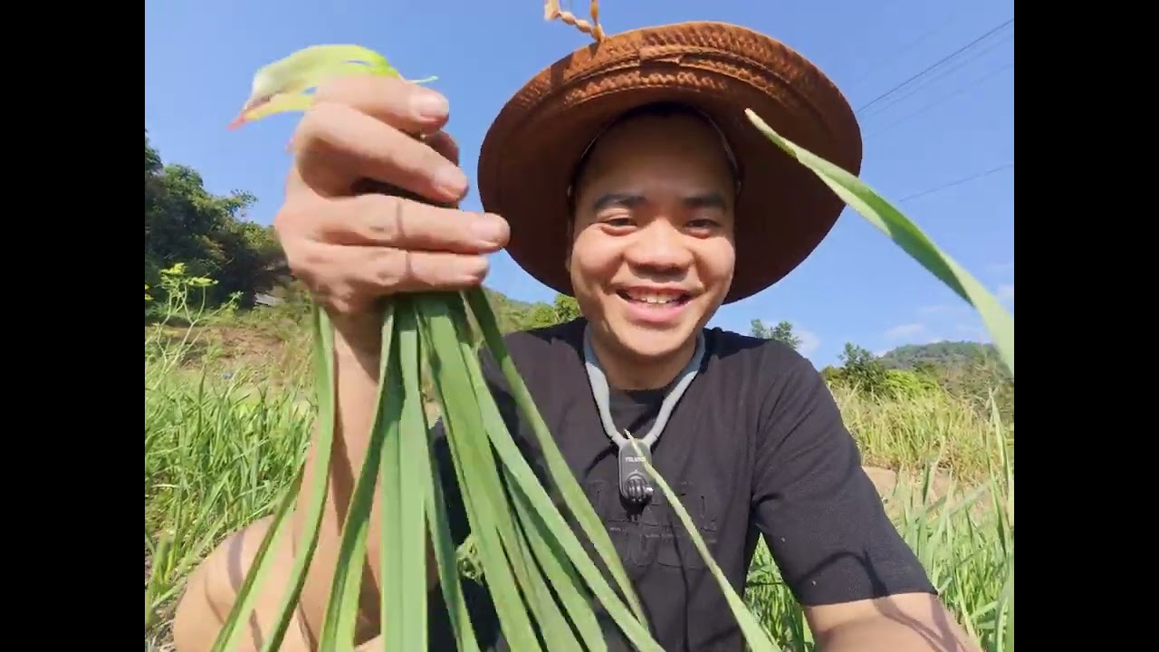 Đẩy Xe Chở Bao Dong Lên Dốc | Trải Nghiệm Lao Động & Sống Giữa Thiên Nhiên Tươi Đẹp