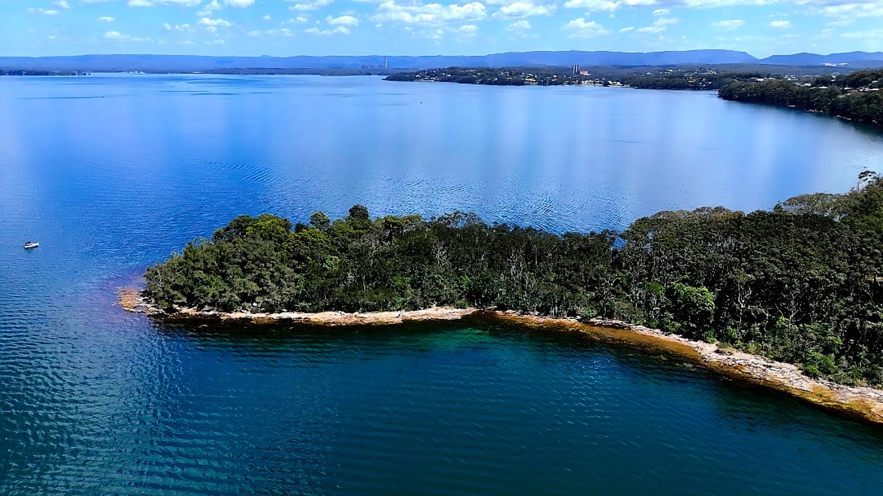 Fishing a new spot on our beautiful lake Macquarie!!! Surprise turtles come up for a breath of air