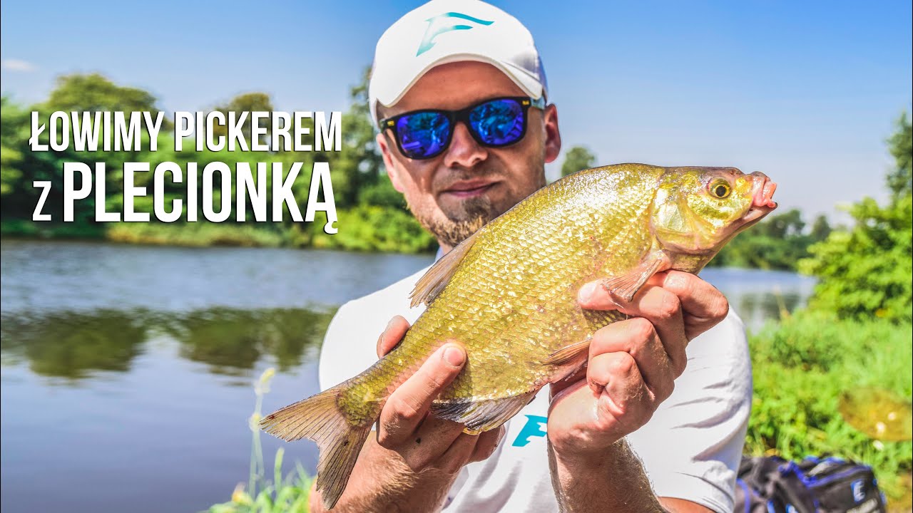 Feeder: Organizacja stanowiska i picker z plecionką