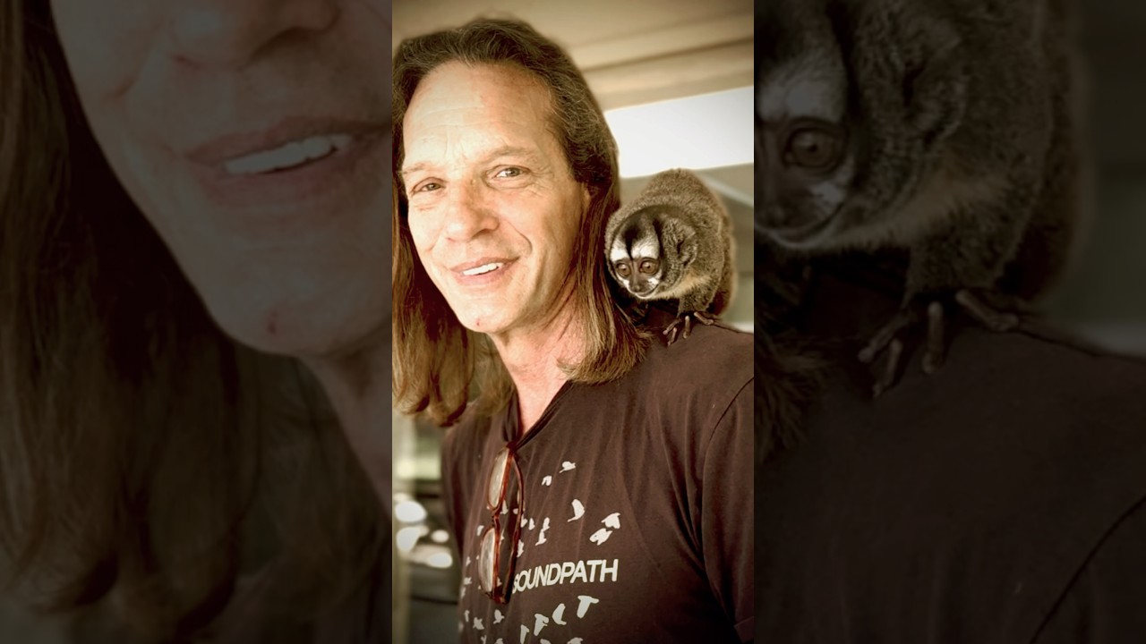 #elizabethfelton # petconsultant #owlmonkey #lockjaw