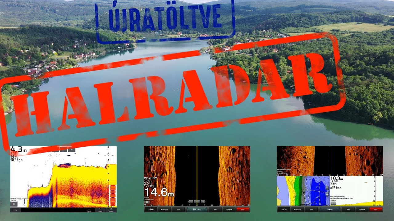 A meder és a szonár (Halradar - Újratöltve) - 1.  rész