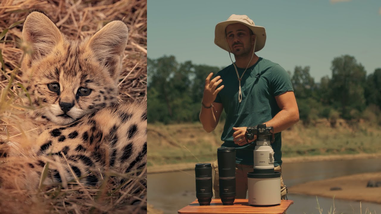 Découvrez les objectifs Canon RF 600mm et RF 800mm f/11 avec @JC Pieri