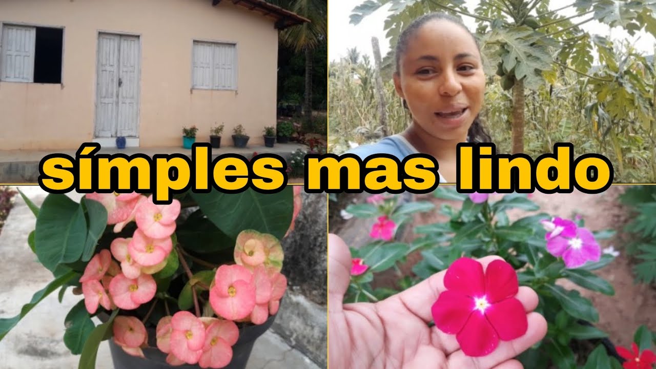 TOUR PELO MEU JARDIM SÍMPLES NA ROÇA!!!