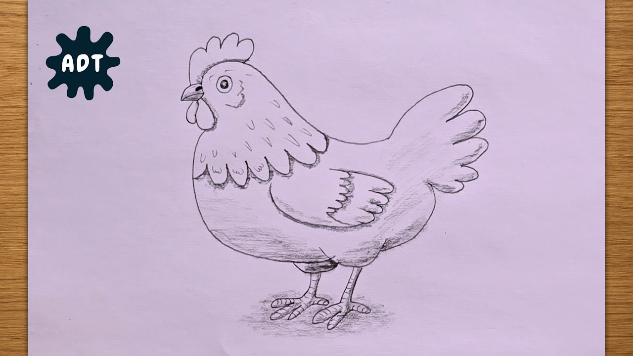 How to Draw a Cute Chicken Easy Step by Step | Simple Pencil Drawing for Beginners