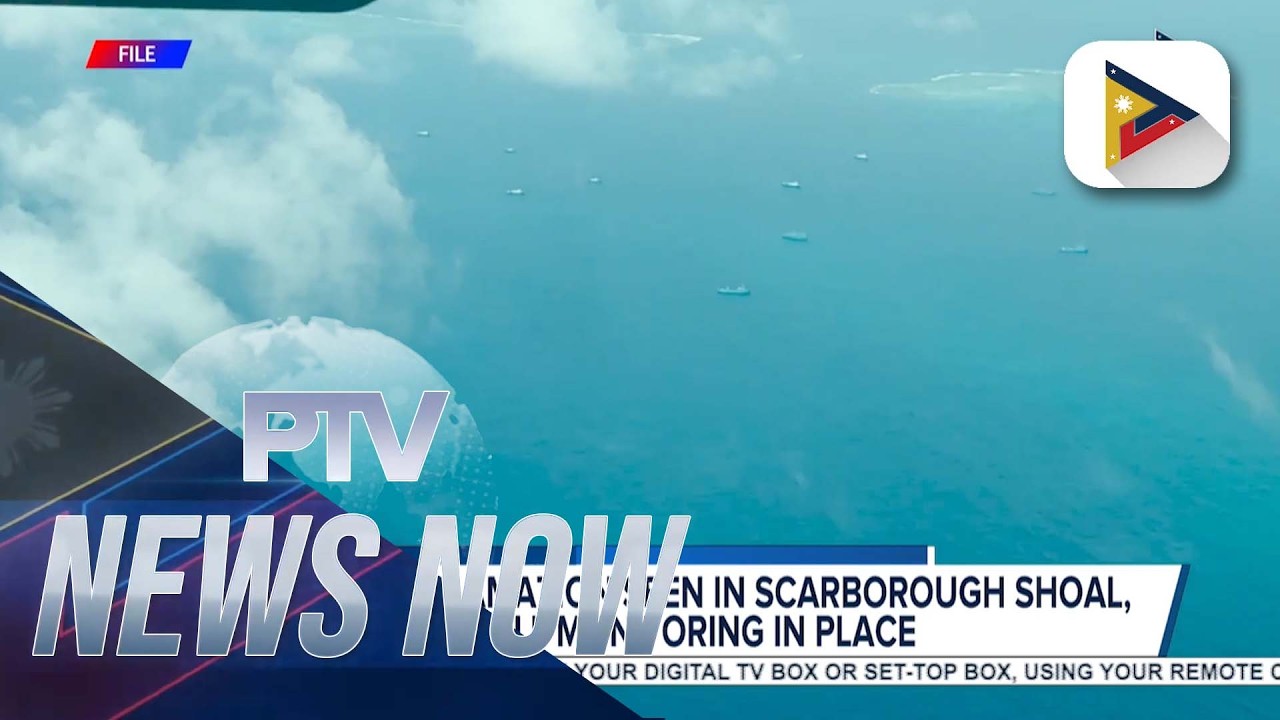 AFP: No reclamation seen in Scarborough Shoal, full monitoring in place