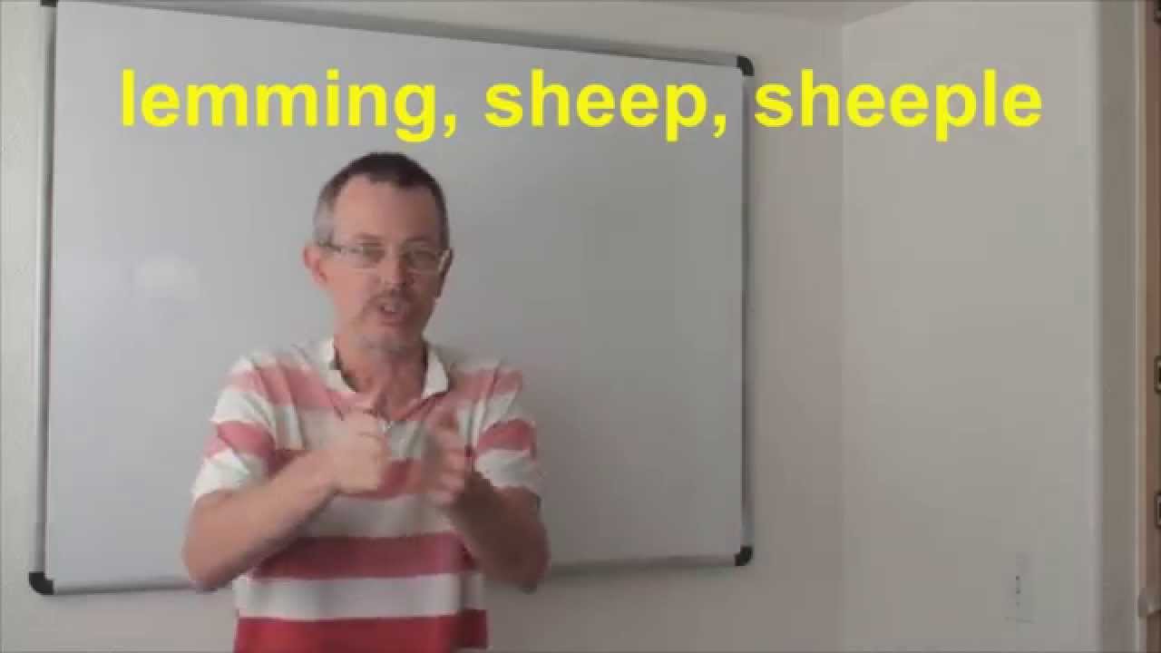 Learn English: Daily Easy English Expression 0554: lemming, sheep, sheeple