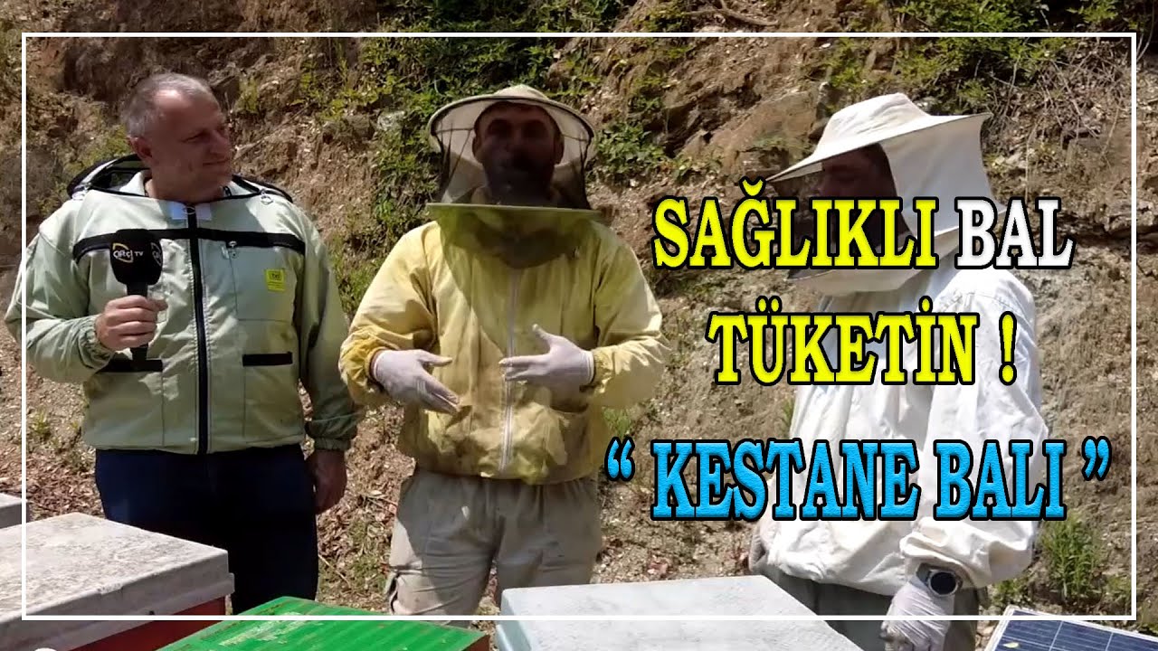 Kestane Balı Nasıl Oluşur ?