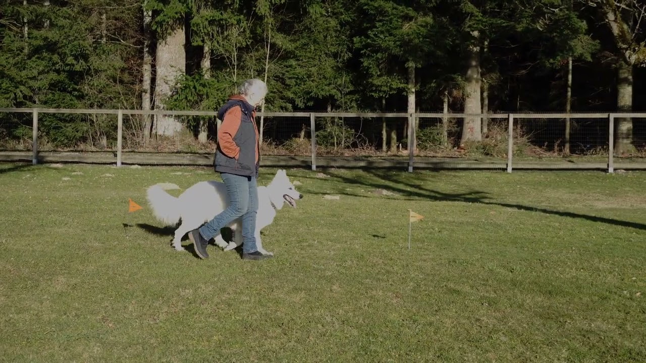 Leslie McDevitt's LAT with Fynja