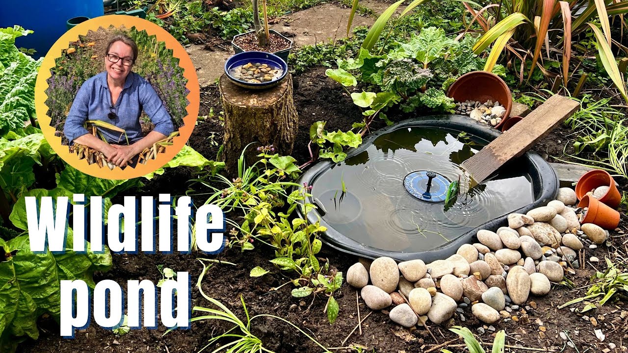 Making the wildlife pond - part two!