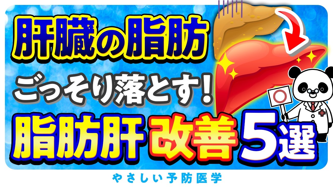 【医師解説】放置厳禁！放っておくと怖い脂肪肝の改善方法5選（脂肪肝　肝臓）