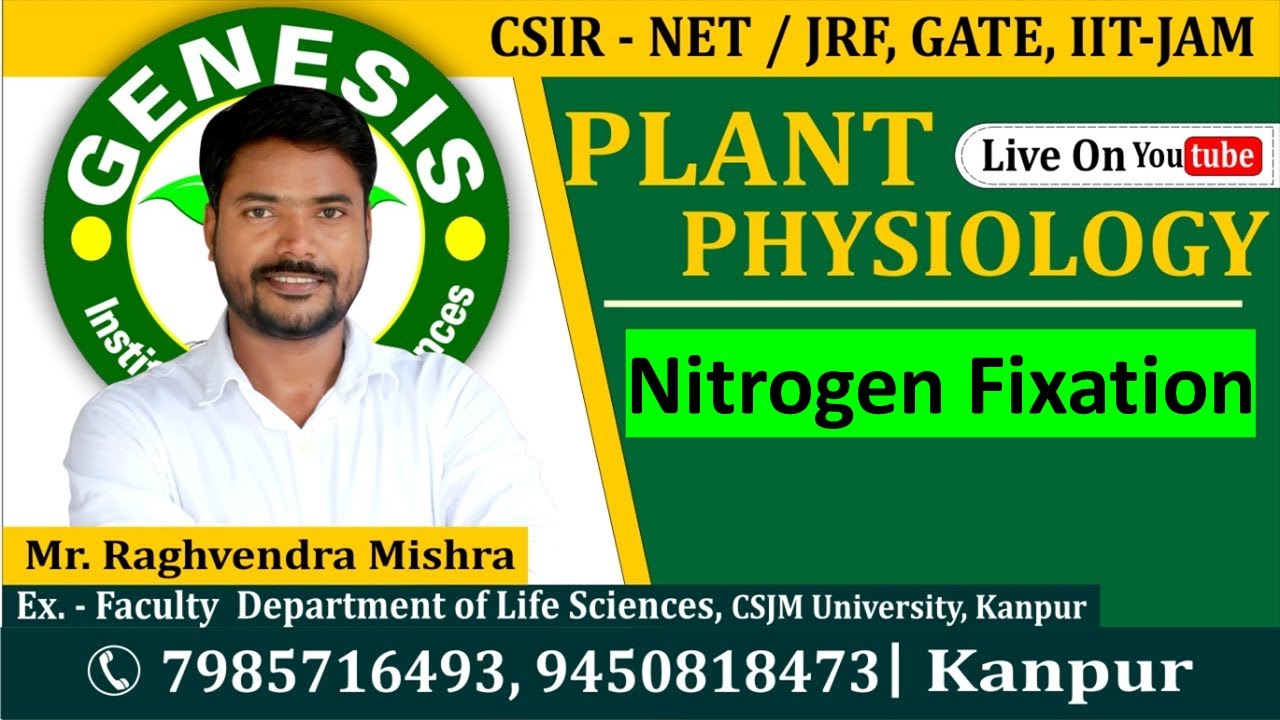Nitrogen Fixation | Plant Physiology| CSIR NET/JRF | GATE | Life science | ICMR| IITJAM
