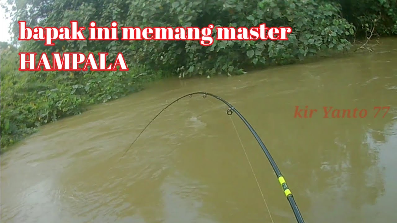 GILA BAPAK INI MEMANG MASTER HAMPALA_mancing hampala || kir Yanto 77