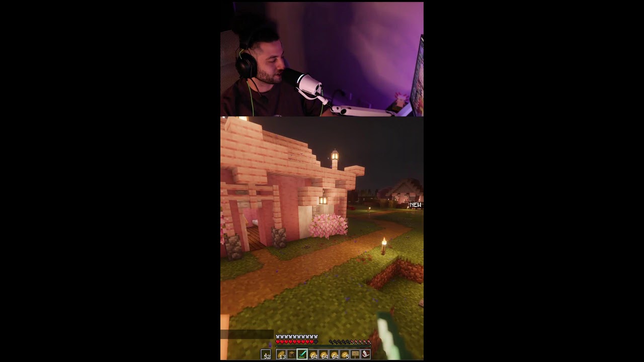 Minecraft Cozy Forever World 2000+ Days DAILY STREAMS