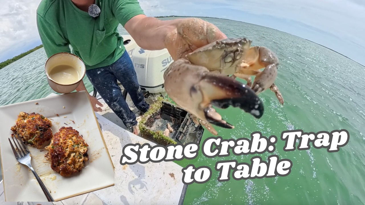 Stone Crab: Trap to Table