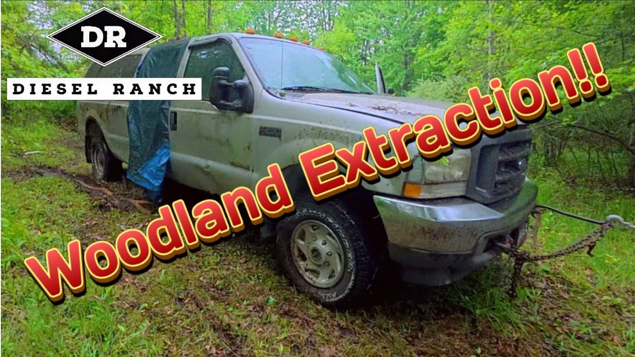 Abandoned 6.0 Deep In The Woods