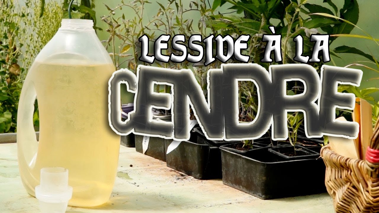 💧 Préparer de la Lessive à la Cendre (Tissus colorés) + Types de Cendres