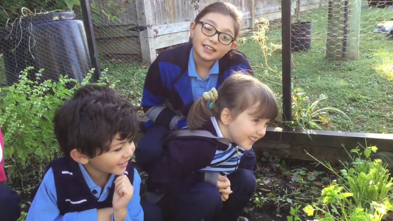 Debout pour la planète