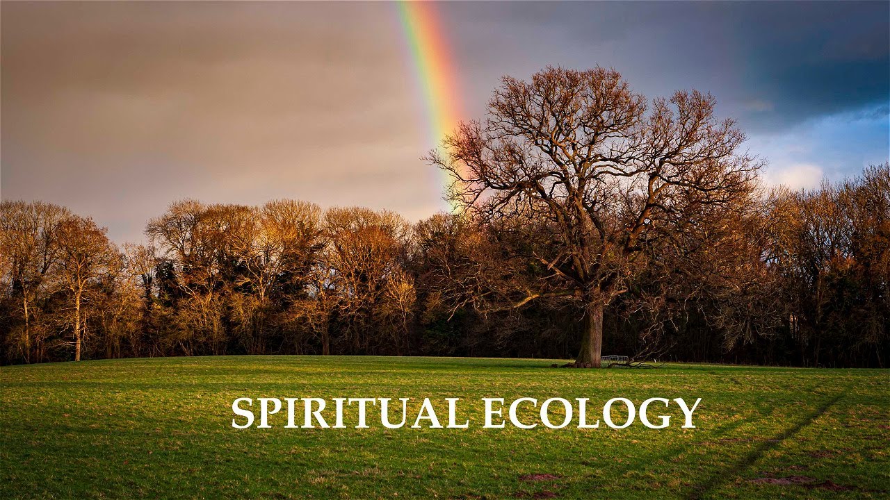 Spiritual Ecology - Llewellyn Vaughan-Lee
