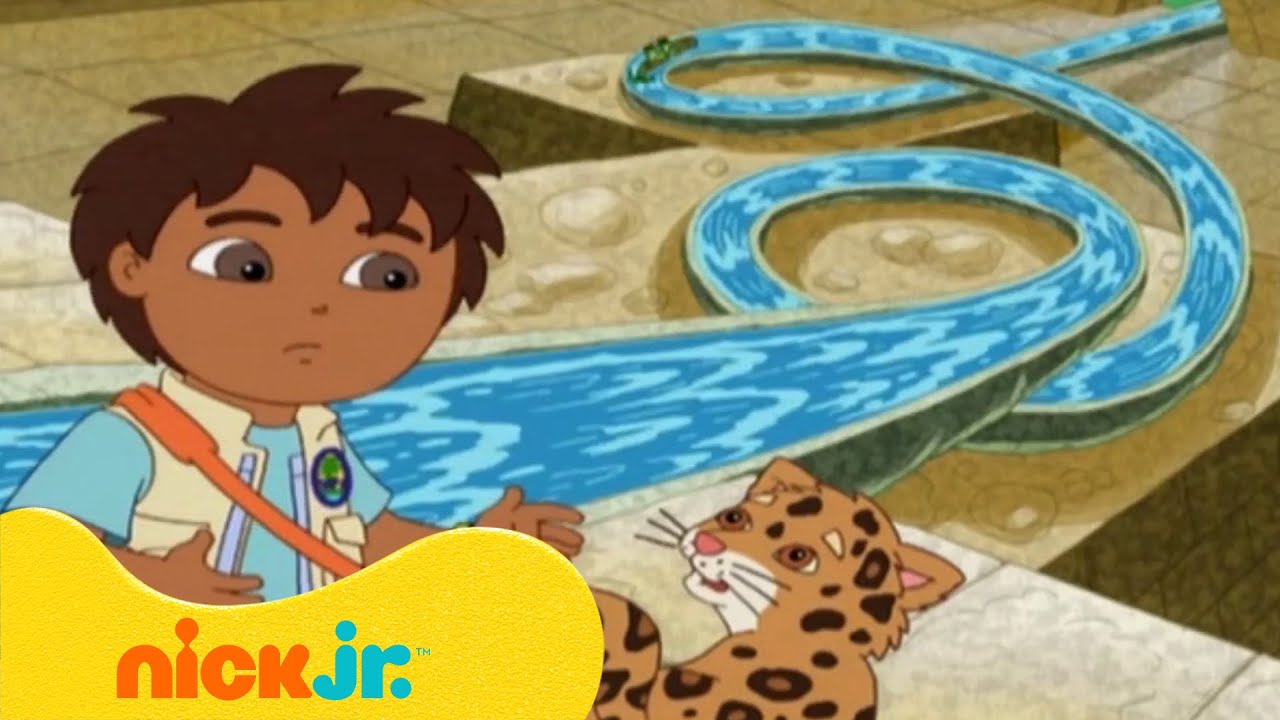 רוץ דייגו רוץ: גולשים במגלשת המים | ניק ג'וניור