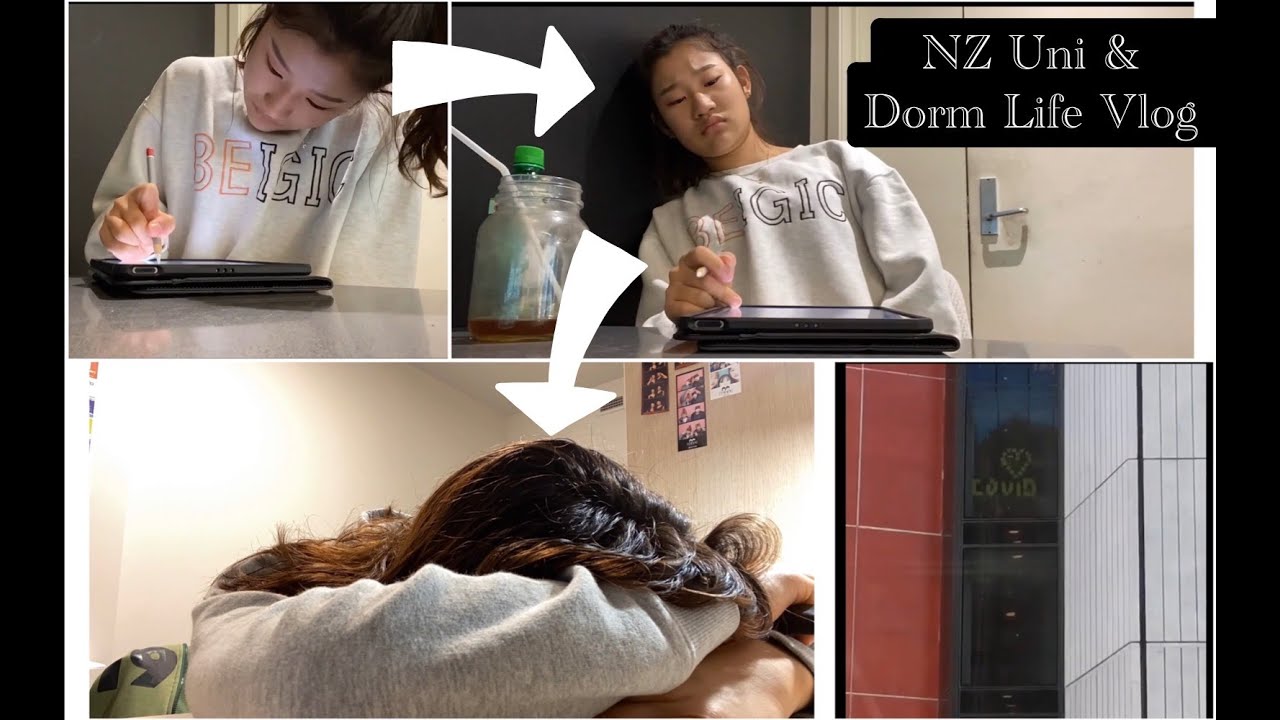 My First Year at University of Auckland & Waiparuru Halls in NZ 🏫 🇳🇿  뉴질랜드 새내기의 대학 & 기숙사 생활