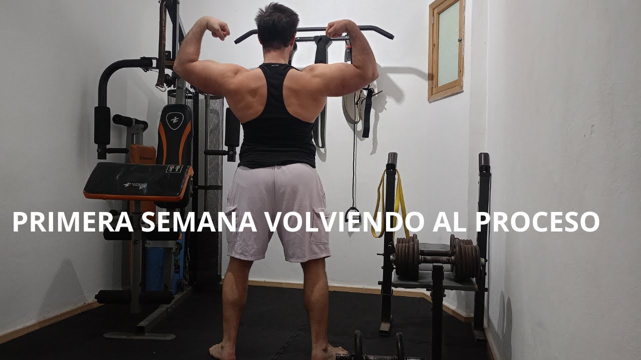 BÍCEPS Y TRÍCEPS Último día semana 42