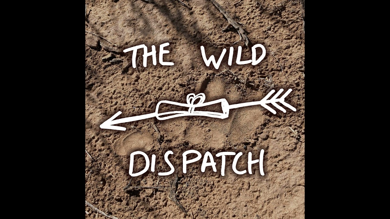 Ep 002: Candace Lewis ↣ Wild Game Butcher
